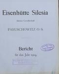 Bericht der Eisebhütte Silesia, Actien-Gesellschaft