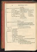 Vorschaubild Seite 14