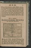 Vorschaubild Seite 31