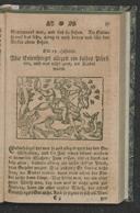 Vorschaubild Seite 37